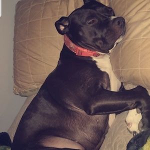 Meet your Posher, Julia